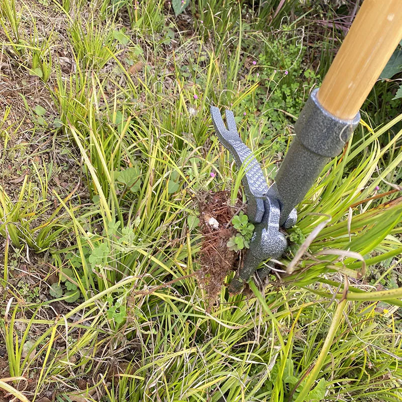 Effortless Weed Remover Tool