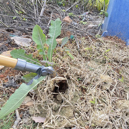Effortless Weed Remover Tool